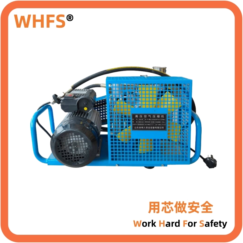 100L��������