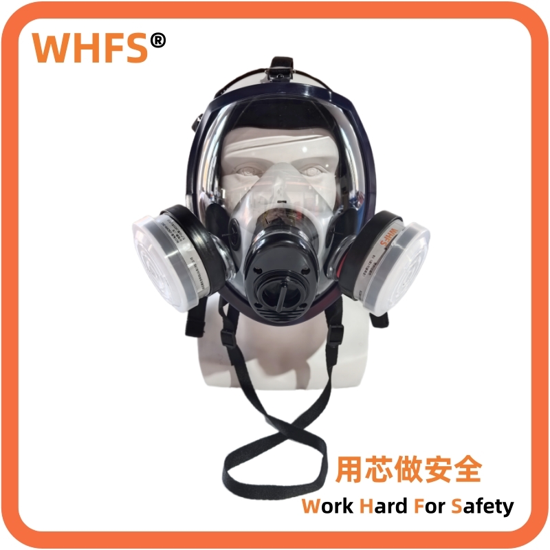 ����ȫ���